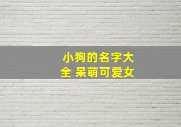 小狗的名字大全 呆萌可爱女